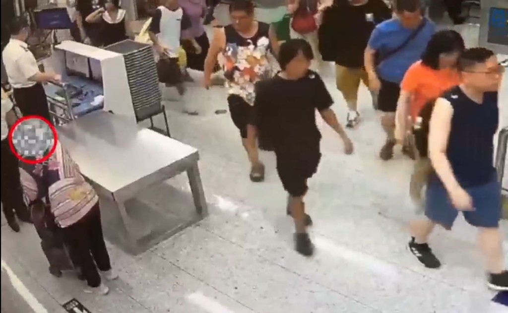 中年婦拖手拉車經福田口岸到內地，企圖走私26暹羅鱷掌。海關發布
