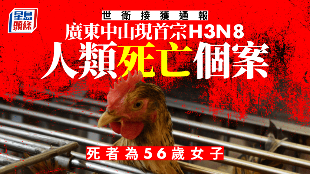 廣東省中山市一名女子感染H3N8禽流感患者死亡，成全球首宗人類死亡個案。