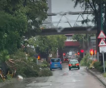 屯門安定邨對開馬路，有大樹塌下阻礙行車線。fb車cam L（香港群組）影片截圖