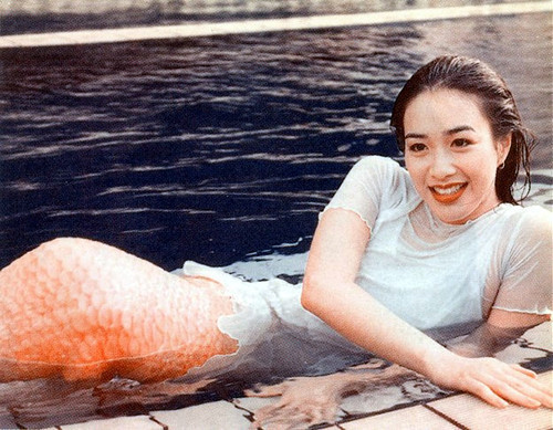 锺丽缇在1993年电影《人鱼传说》饰演救起郑伊健的美人鱼，成为她的代表作。