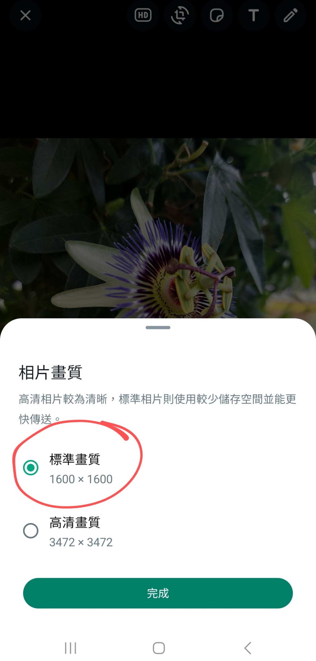 WhatsApp新功能｜WhatsApp高清相片傳送使用方法 點擊「HD」按扭，畫面會出現相片畫質選擇，包括「標準畫質」或「高清畫質」；