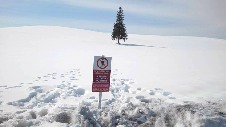 现场设有警告牌标明不得进入。美瑛町観光协会图片