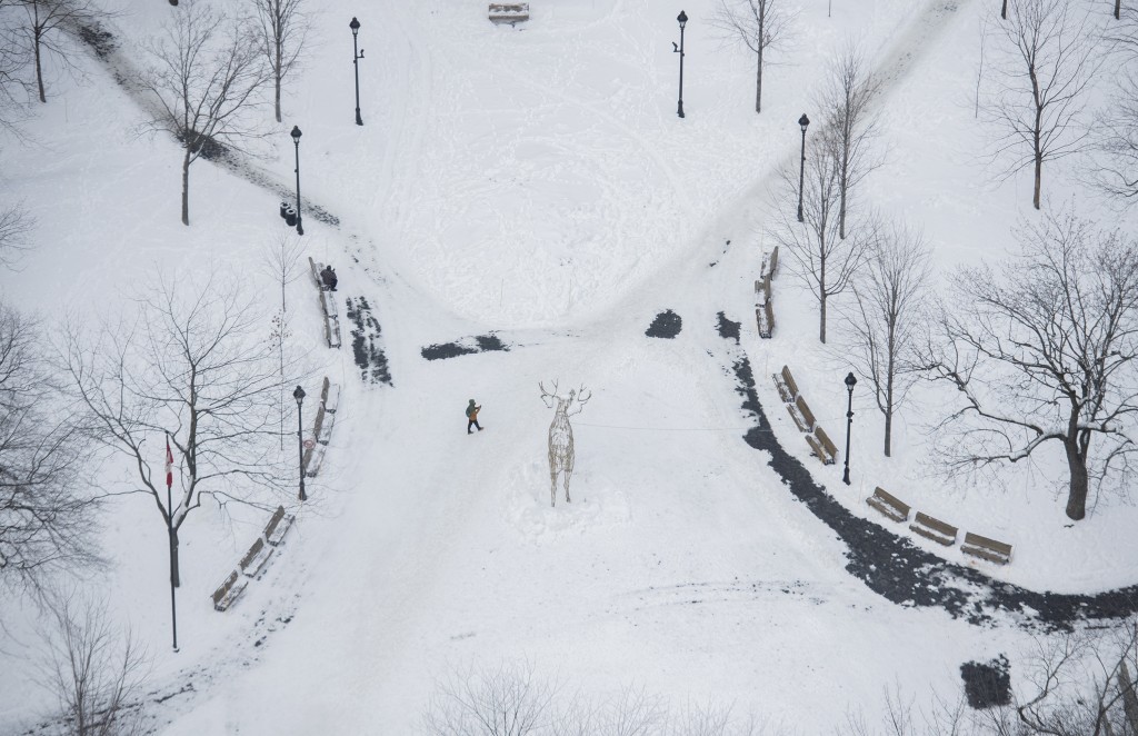 蒙特利尔白雪覆盖的公园。AP