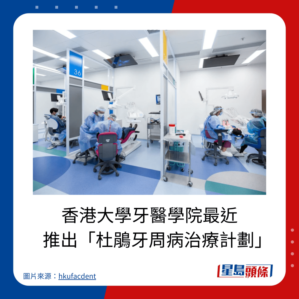 香港大學牙醫學院最近推出「杜鵑牙周病治療計劃」。