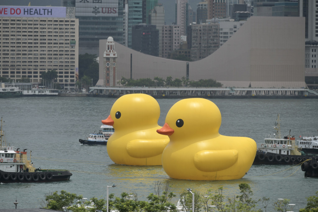 巨型黄色橡皮鸭事隔十年再访香港，引起议员关注香港水上特色旅游项目。资料图片