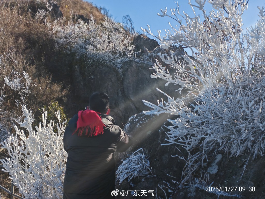 廣東受冷空氣侵襲，粵北金子山迎冰雪奇觀。（微博）