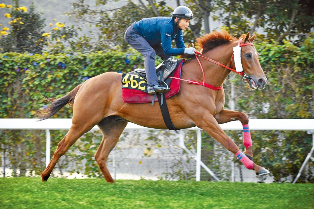 「勇猛神駒」火氣比前有增無減，狀態大熟大勇。