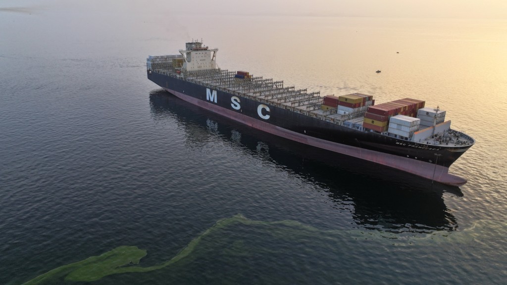 伊朗伊斯兰革命卫队（IRGC）在霍尔木兹海峡扣押了MSC Francesca号货轮。 路透社