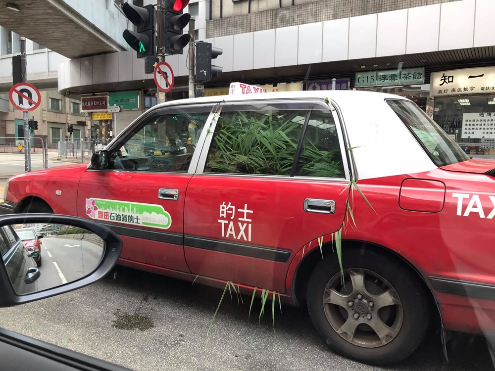 有網民拍攝一張的士照片,只見的士後座座位堆滿了草堆。網民Albert Chung Chung 圖片