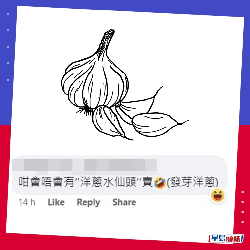 网民：咁会唔会有「洋葱水仙头」卖（发芽洋葱）。fb「香港茶餐厅及美食关注组」截图