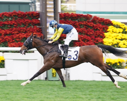 梁家俊策騎4.2倍大熱門「龍戰士」勝出牛年首場頭馬。 Curry攝