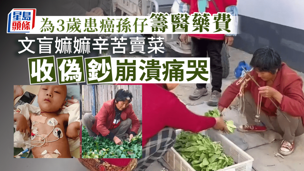 3歲孫兒因患神經母細胞瘤須大筆醫療費，嫲嫲種菜賣籌醫藥費竟收偽鈔，悲從中來痛哭不已。