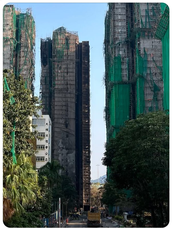 Threads截圖(資料來源:masa_jan_pp@Threads) Threads截圖(資料來源:masa_jan_pp@Threads)