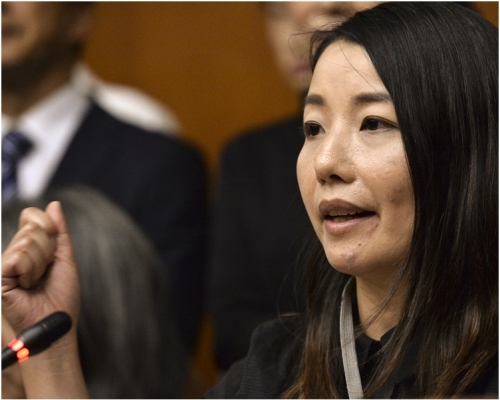 刘小丽希望参与补选的人能为民主派取回一席、团结泛民。