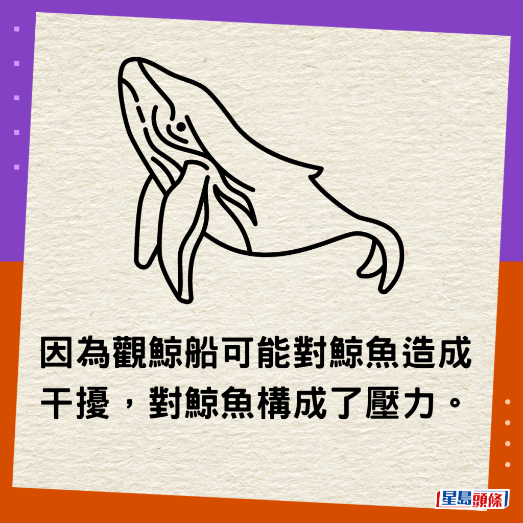 因為觀鯨船可能對鯨魚造成干擾，對鯨魚構成了壓力。