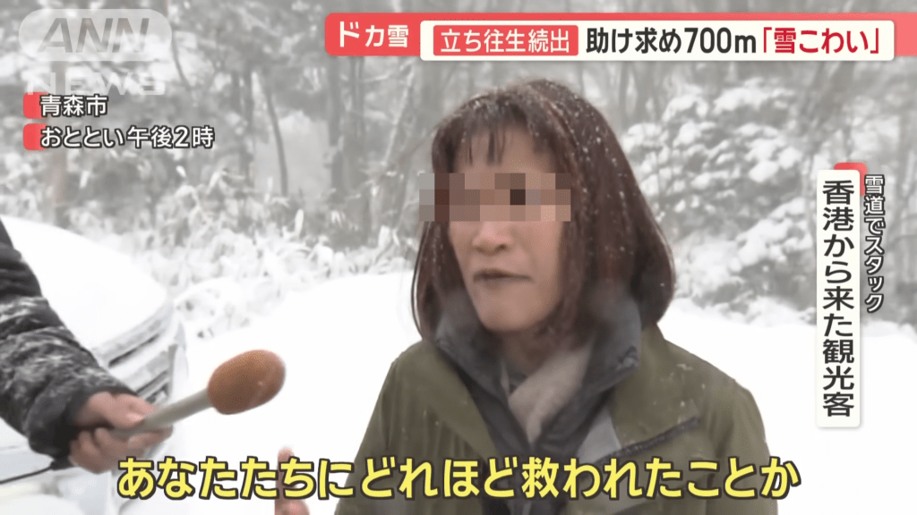 奈何在途中發現前路已被禁止通行，想折返時已發現困在雪路之中。