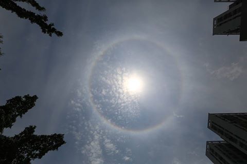 元朗也有日暈。六郎／社區天氣觀測計劃 CWOS