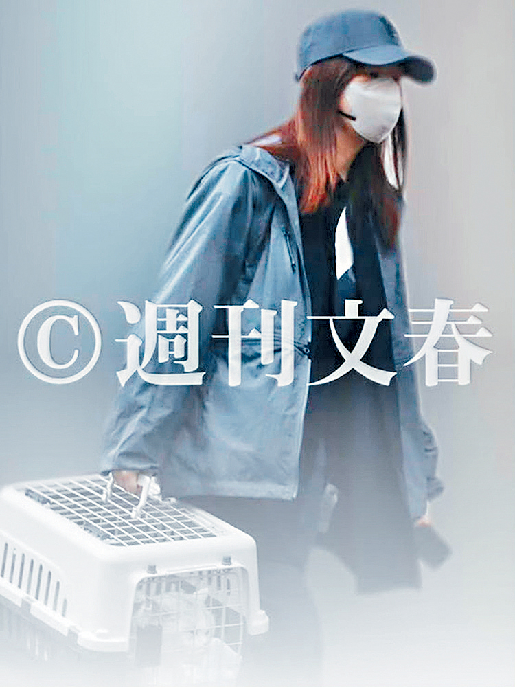 指原被《文春》拍到帶愛貓睇獸醫,犬飼則在車上等她。
