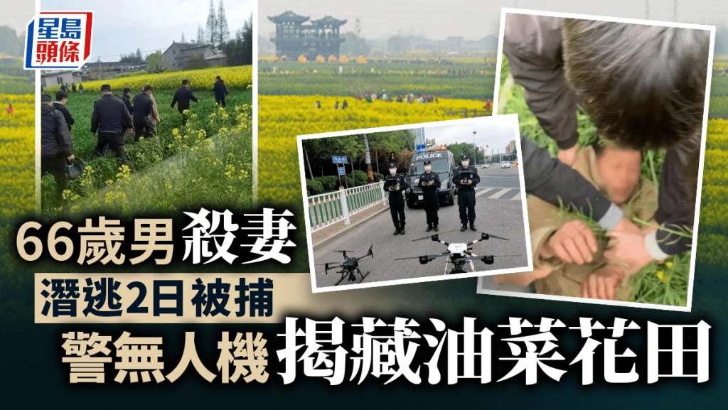 江蘇66歲翁疑殺妻潛逃2日被捕 警無人機揭藏入油菜花田
