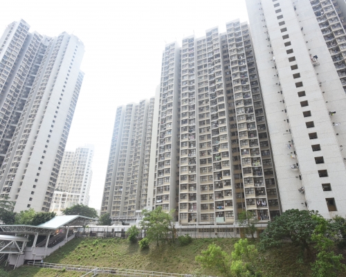 葵盛東邨6名男子疑違反限聚令。 資料圖片