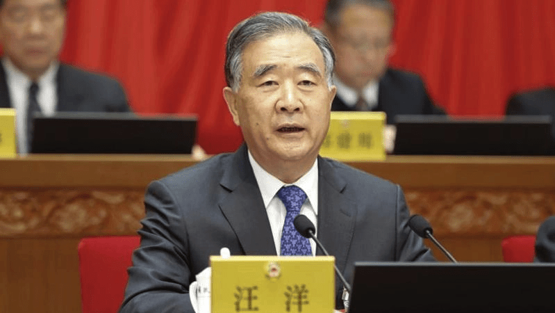 中央政治局常委、全國政協主席汪洋。網圖