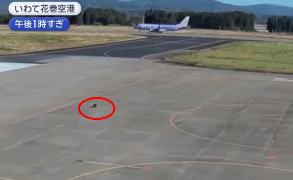 ANN影片畫面截圖