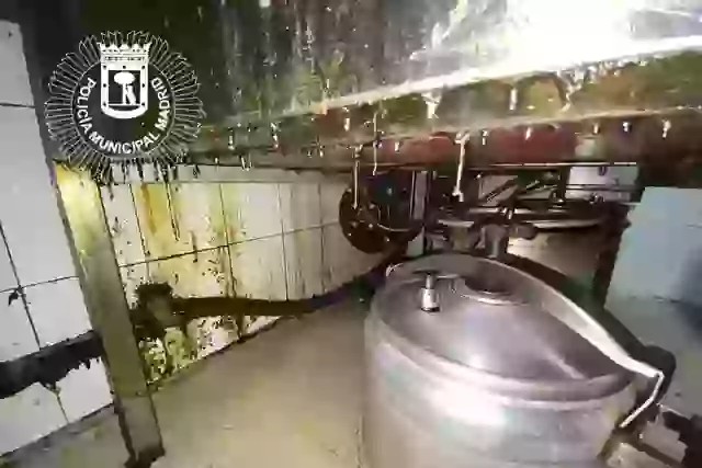 厨房卫生极差。 Policía Municipal de Madrid 厨房卫生极差。 Policía Municipal de Madrid