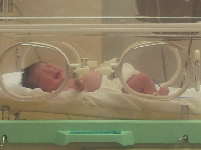 （圖片來源：PhotoAC）