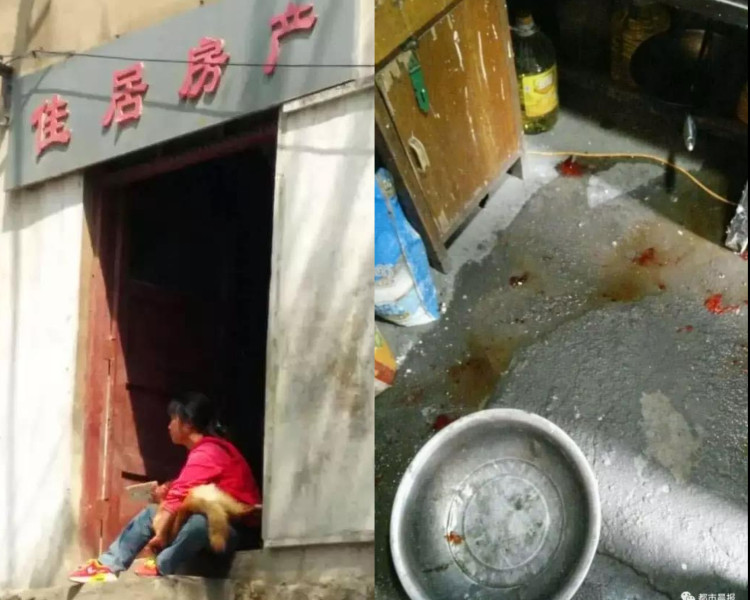 黄狗跑回家后死亡。