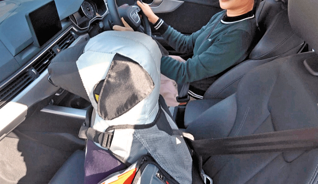 坊間有寵物專用的繫穩設備供車主使用