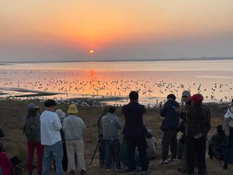 江西省九江吴城候鸟小镇。 江西省九江吴城候鸟小镇。