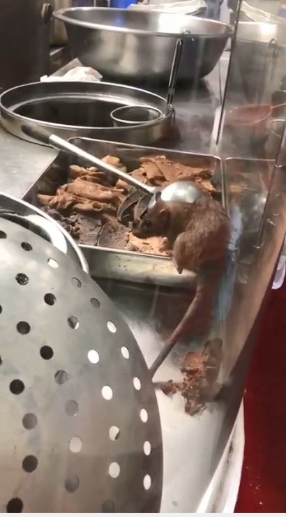 影片截圖