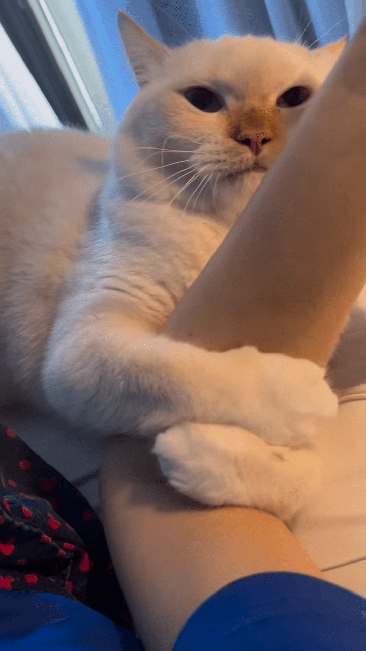 郭羡妮上月初晒爱猫照，当时依然没露面。