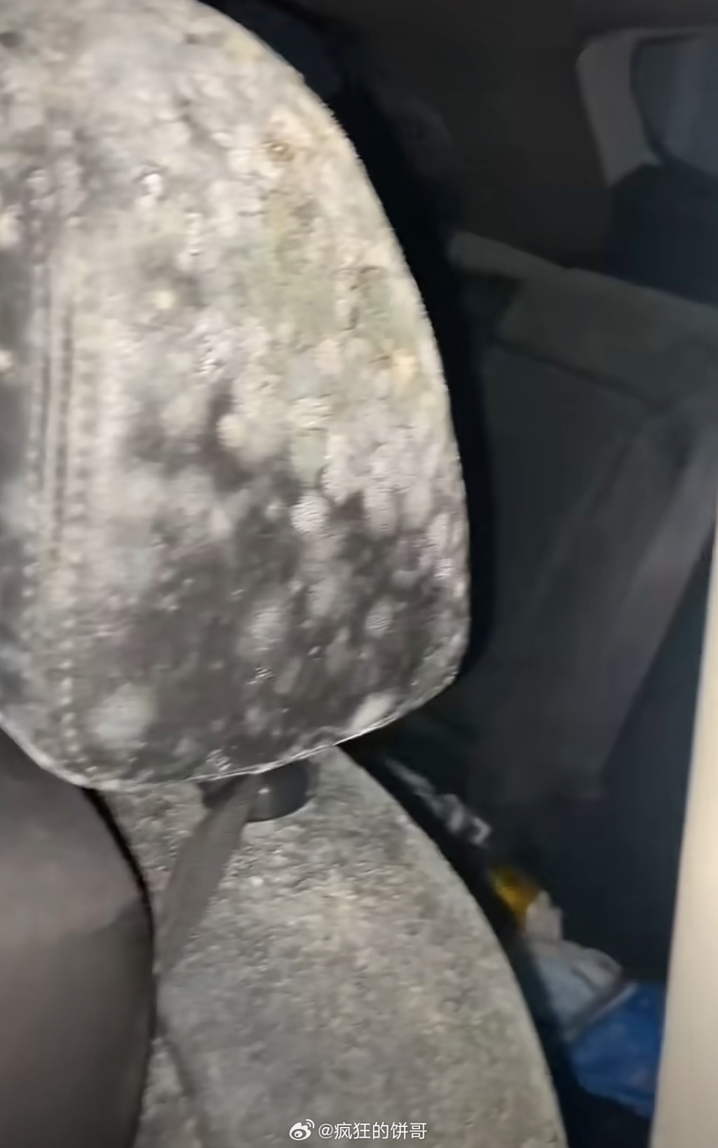 何女士的汽車在停車場9日,車內長滿霉菌。微博 何女士的汽車在停車場9日,車內長滿霉菌。微博