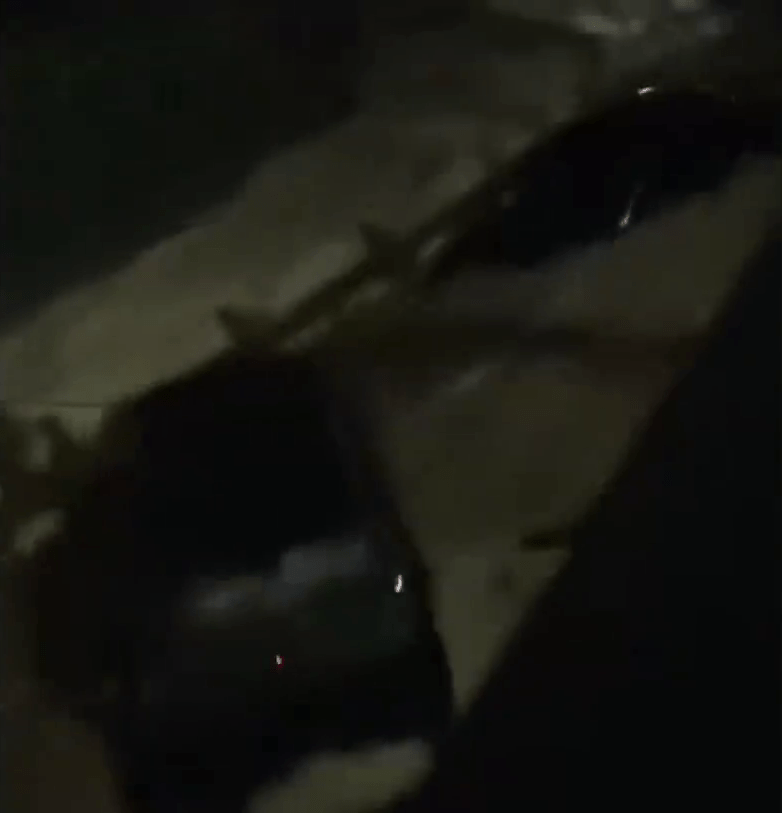 湖北咸豐暴雨，多輛車被洪水沖走。