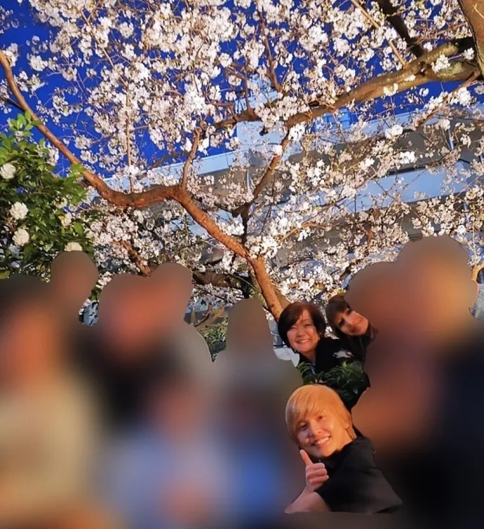 安倍妻子昭惠在東京都的櫻花樹下與多位友人聚會,被拍下了照片發到網上。(Twitter 圖片)