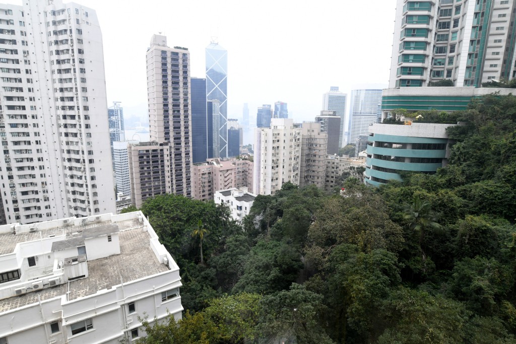 單位位處地勢較高，可望開揚市景及周邊林景。