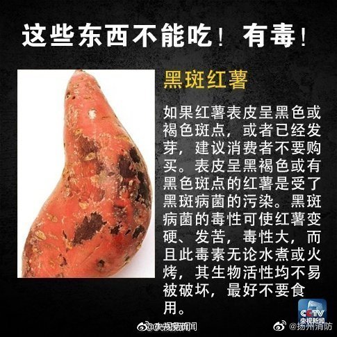 黑斑红薯毒性大。 网图