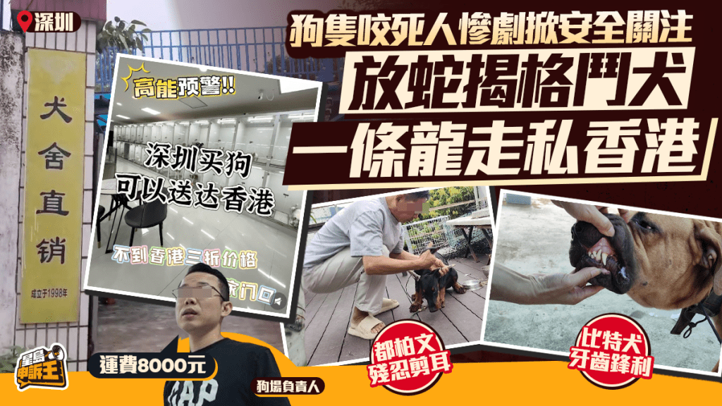星島申訴王 | 狗隻咬死人慘劇 掀安全關注 放蛇揭深圳狗場賣格鬥犬 一條龍走私香港