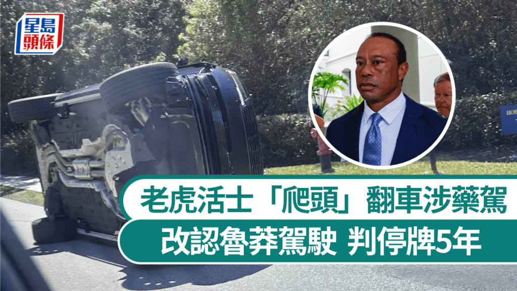 老虎活士涉藥駕案改認魯莽駕駛，判停牌5年。 美聯社 / 路透社