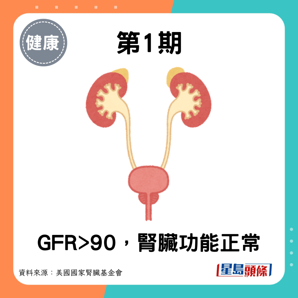 第1期：GFR>90，腎臟功能正常。