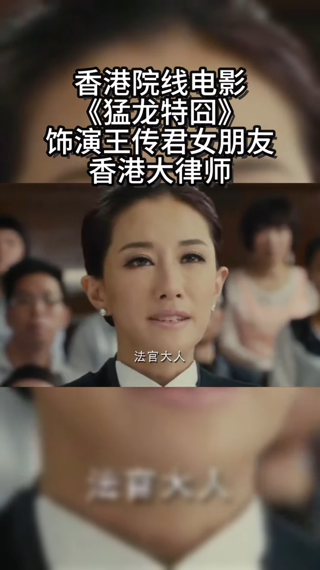 另一齣作品是前夫胡耀執導的《猛龍特囧2015》。 另一齣作品是前夫胡耀執導的《猛龍特囧2015》。