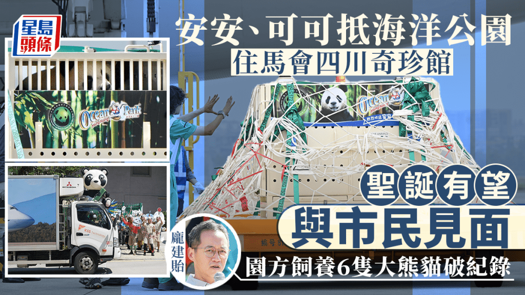 大熊貓抵港︱安安可可入住馬會四川奇珍館 龐建貽：照顧人手暫時足夠