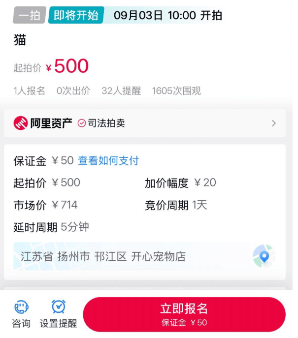 江蘇3歲貓被法院以¥500起拍價拍賣。阿里資產