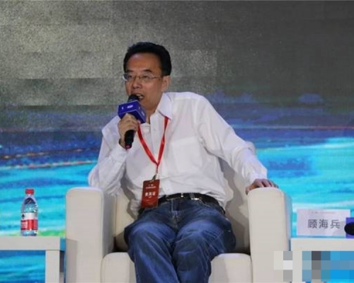 中國人民大學教授顧海兵。 網上圖片