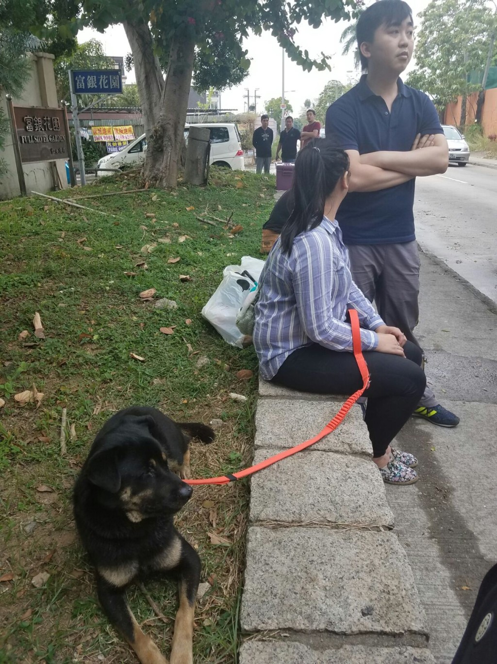 「碌碌」初生時在垃圾站附近流浪被檢回來撫養，與各同事感情深厚。徐裕民攝