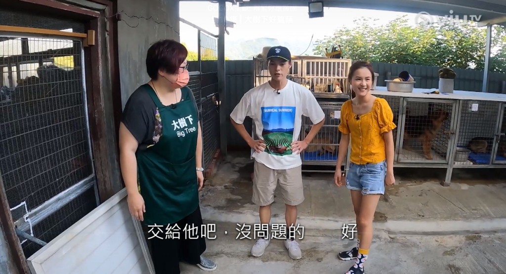 《幫緊你應援團》為毛孩籌款嘅一集。