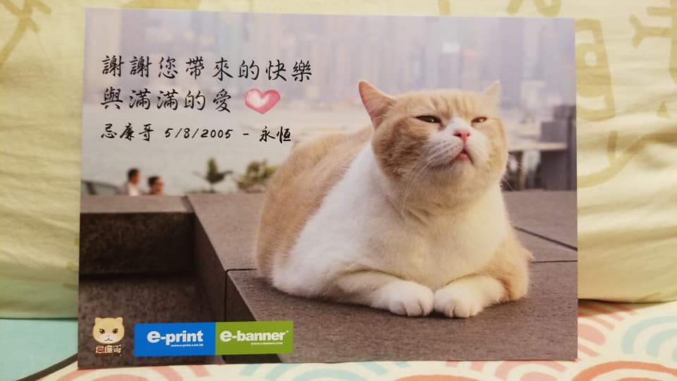 紀念postcard