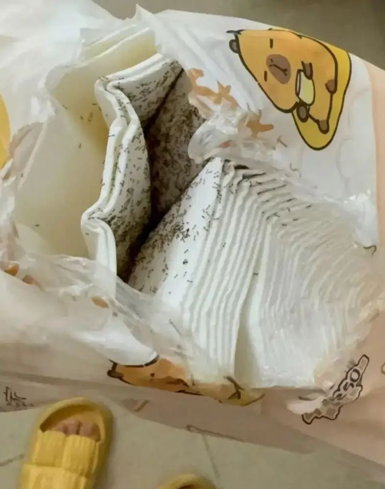 内地品牌清风生产的抽纸,被指有大量蚂蚁。 内地品牌清风生产的抽纸,被指有大量蚂蚁。