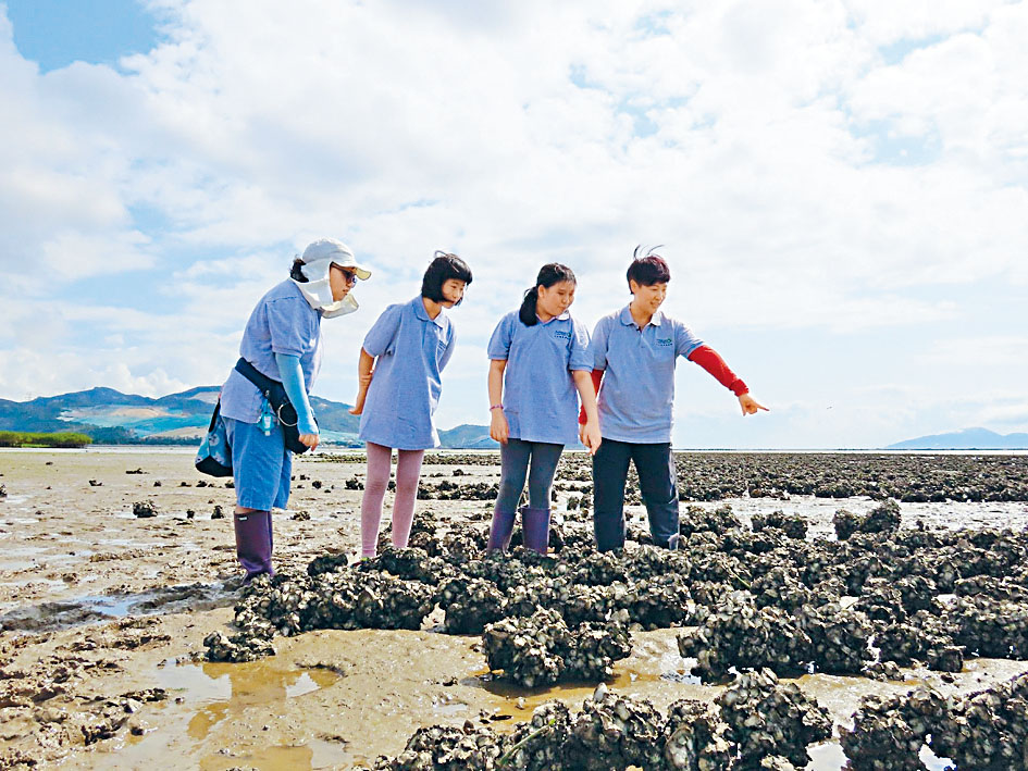 實地教育和推廣較書本教授來得深刻直接。